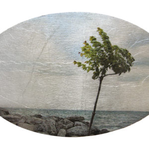 Plucky Young Maple Tree. 2021, inkjet print on transparent film, metal leaf, wood panel by Nicola Woods